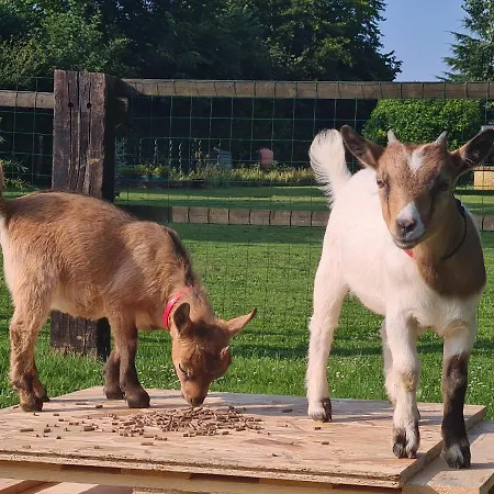 Le Manege Normand Holiday home