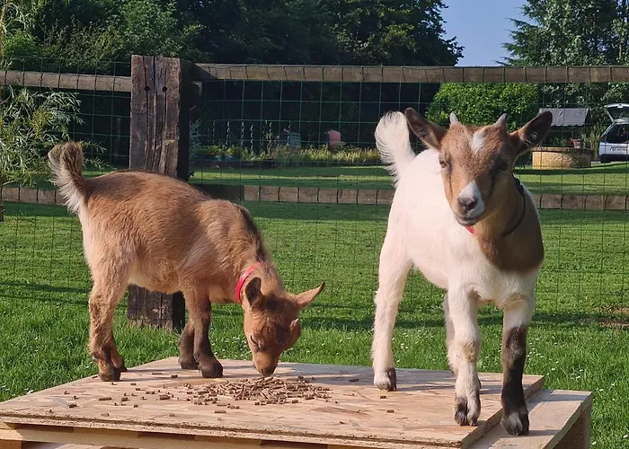 Le Manege Normand Holiday home